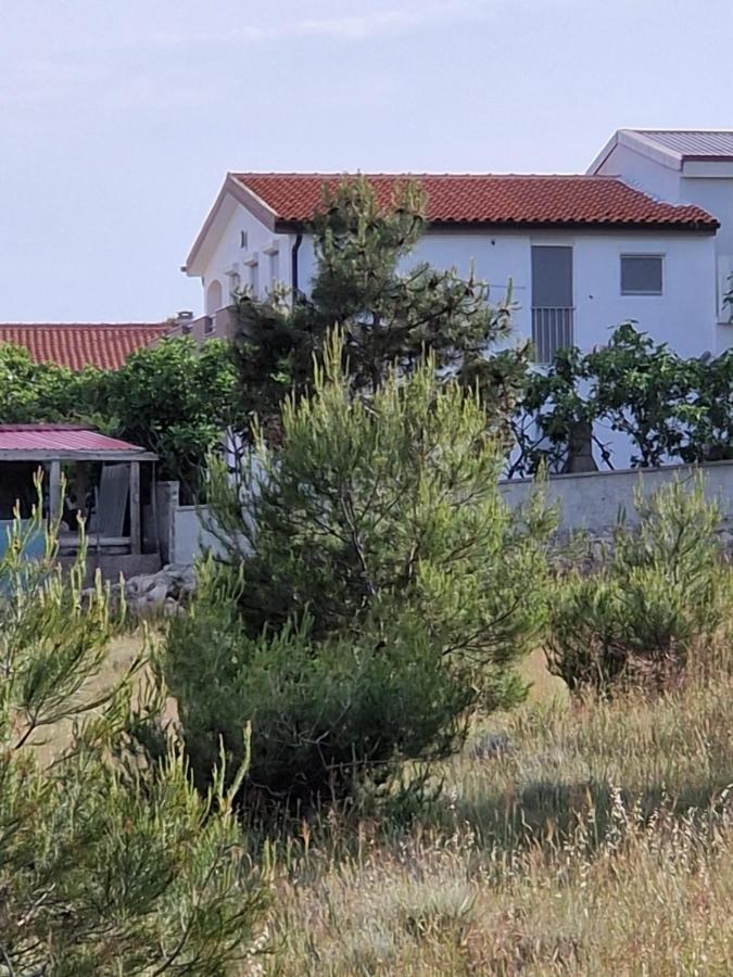 Apartments Ema Vir Zewnętrze zdjęcie