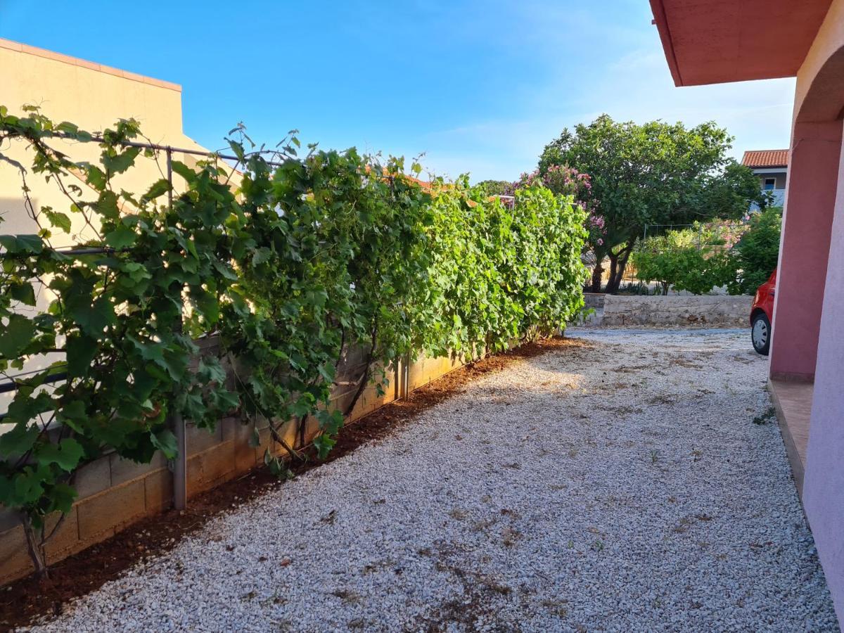 Apartments Ema Vir Zewnętrze zdjęcie